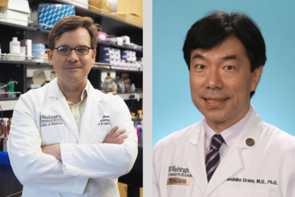 Millman and Urano publish research on patient iPSC-derived disease models 