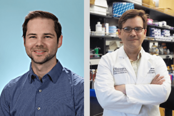 Hogrebe and Millman contribute to new study on immune-engineered stem cells  